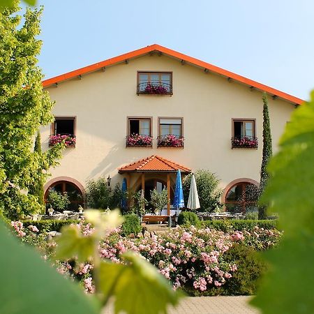 Villa Hochdörfer Gästehaus Landau in der Pfalz Exterior foto