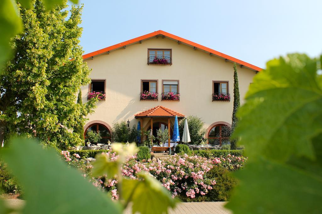 Villa Hochdörfer Gästehaus Landau in der Pfalz Exterior foto